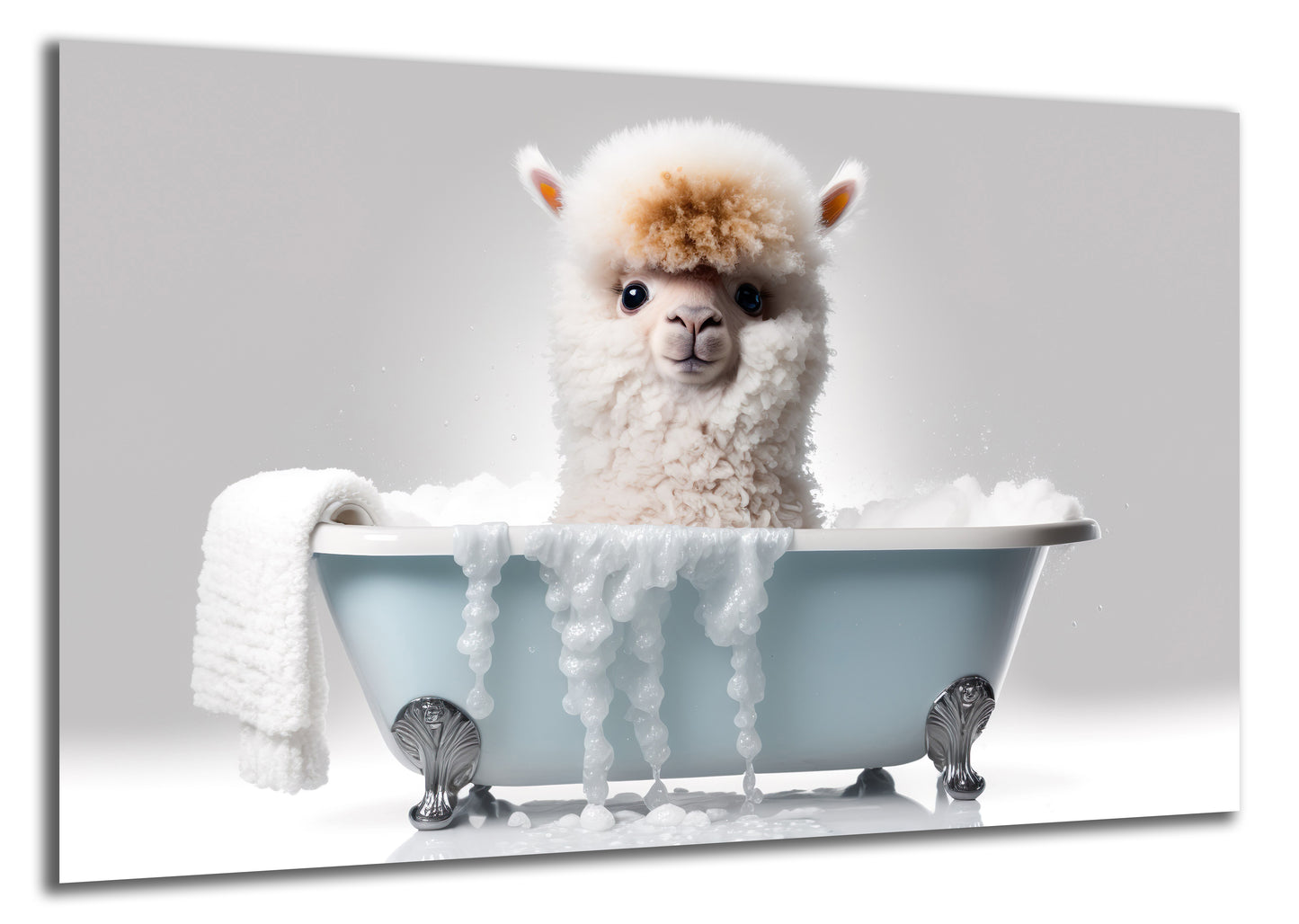 HDF Wandbild Tiere in Badewanne